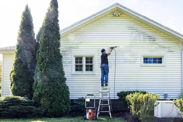 Reliable Rockwood, VA Pressure Washing Services Solutions
