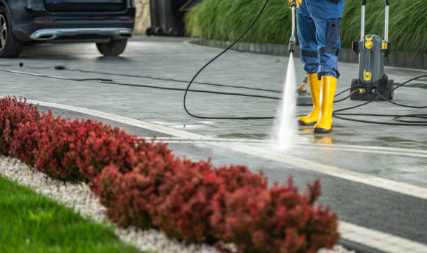 Best Graffiti Removal Services in Rockwood, VA