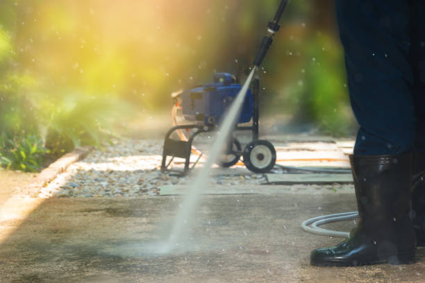 Best Soft Washing for Delicate Surfaces in Rockwood, VA